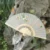fan-ginkgo